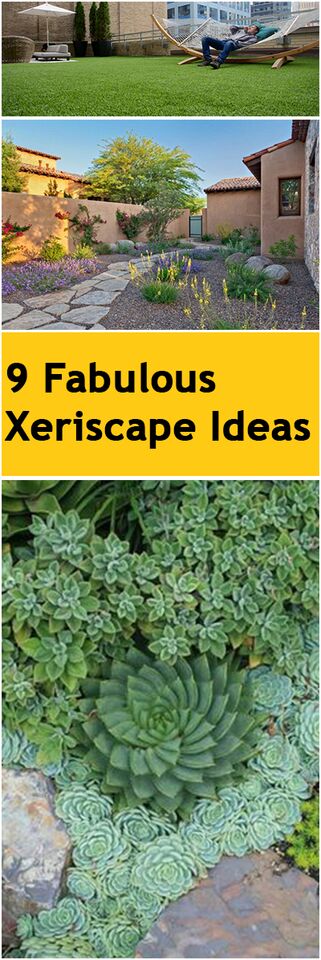 9 Fabulous Xeriscape Ideas ~ Bless My Weeds