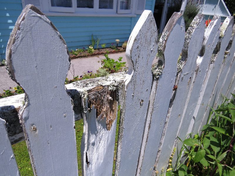 12 Tips for Maintaining a Wood Fence ~ Page 11 of 13 ~ Bless My Weeds