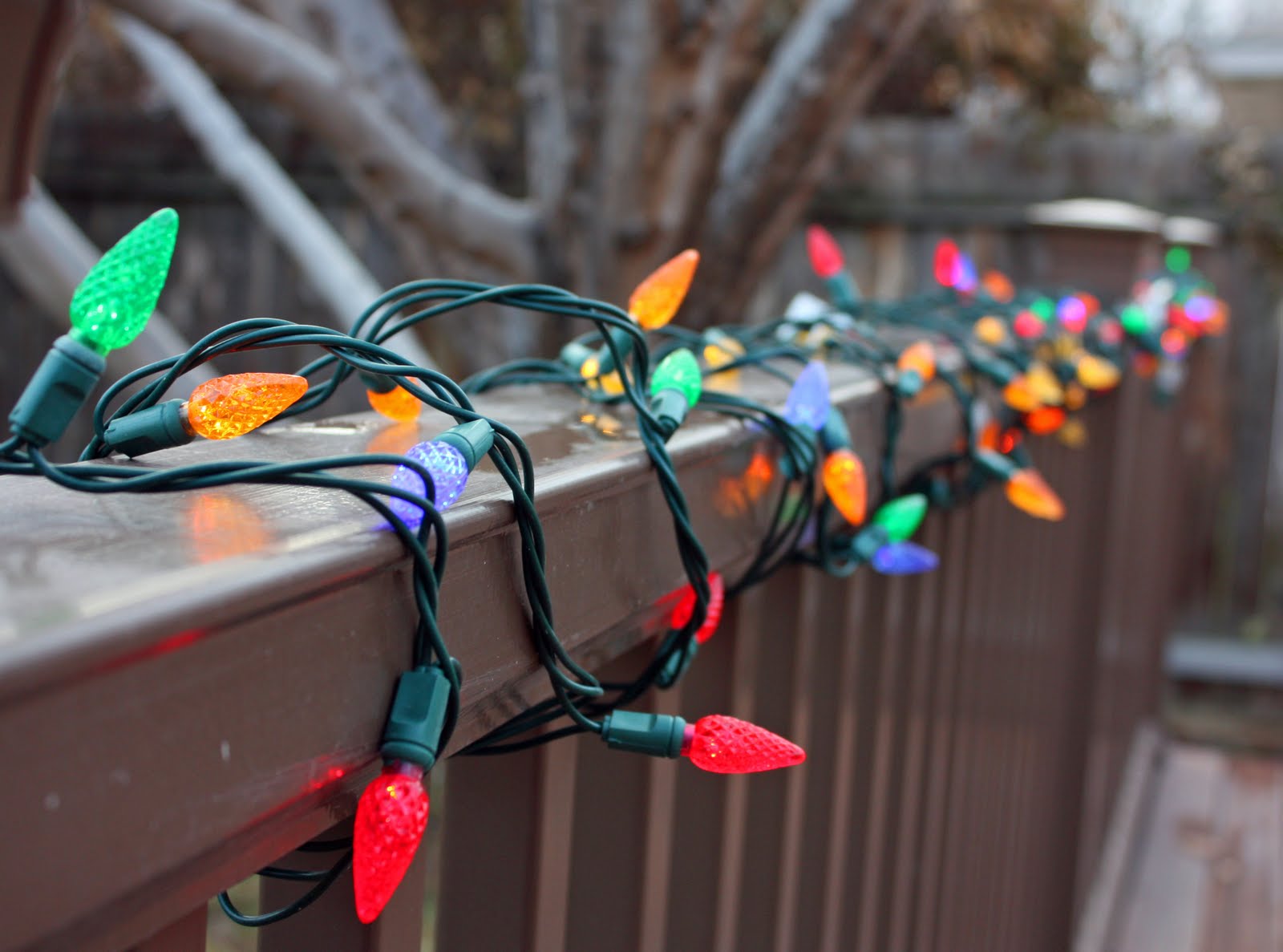 Best Outdoor Christmas Lights Ideas For Bless My Weeds