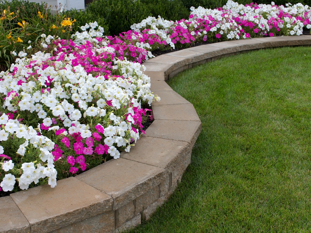 12 Beautiful Flower Beds That Will Inspire ~ Page 5 of 13 ~ Bless My Weeds