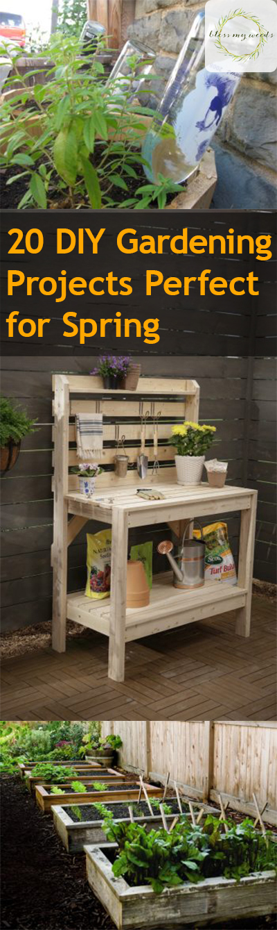 20 DIY Gardening Projects Perfect for Spring ~ Bless My Weeds