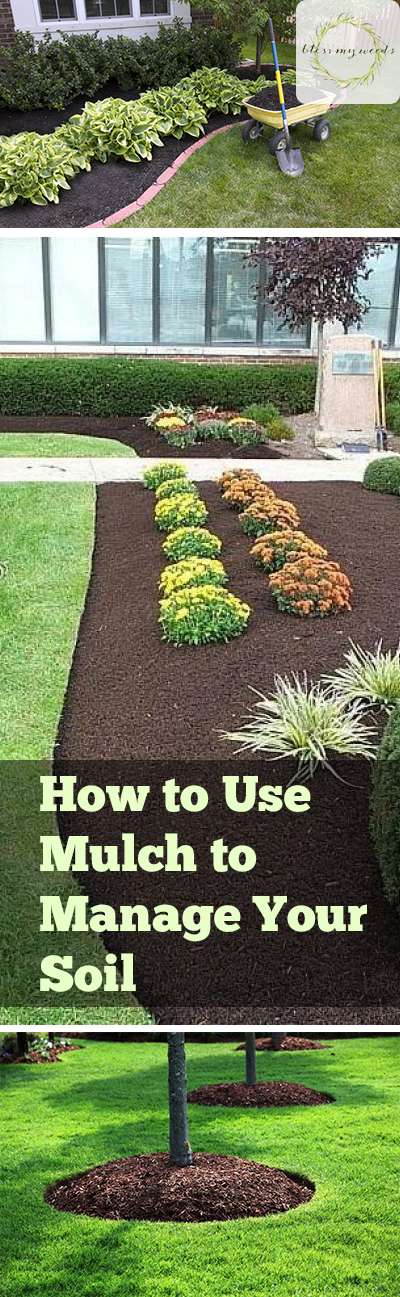 how-to-use-mulch-to-manage-your-soil-bless-my-weeds