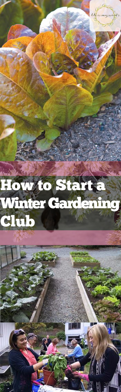 how-to-start-a-winter-gardening-club-bless-my-weeds