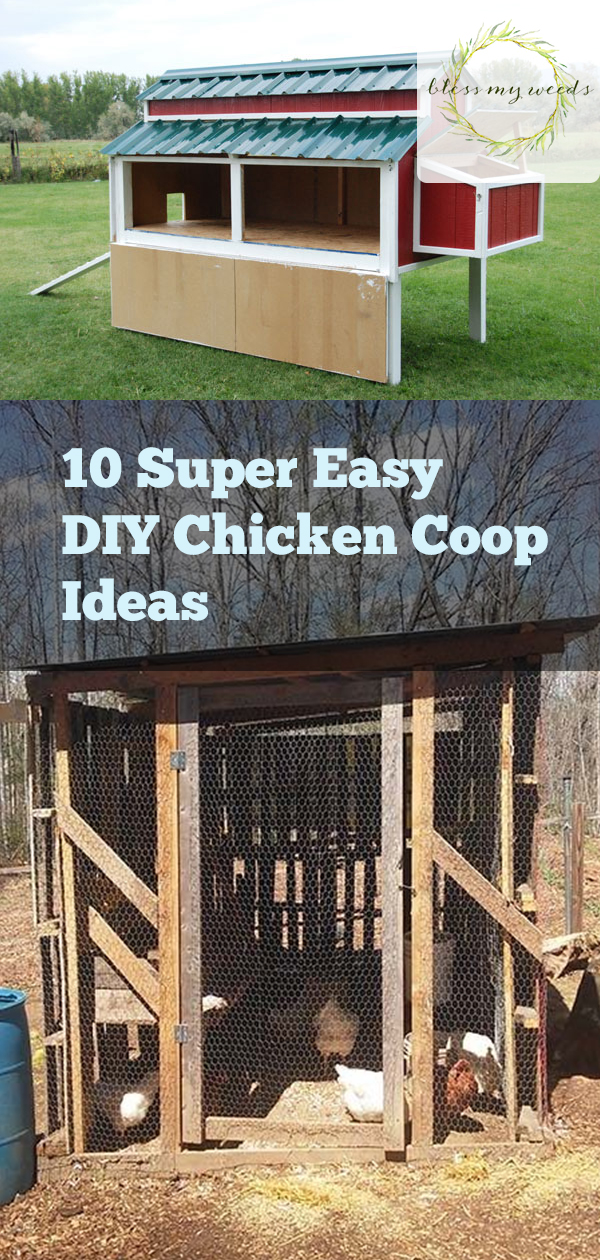 10 Super Easy DIY Chicken Coop Ideas Bless My Weeds
