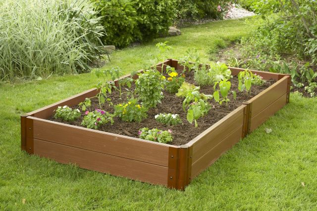 Gardening Tips16