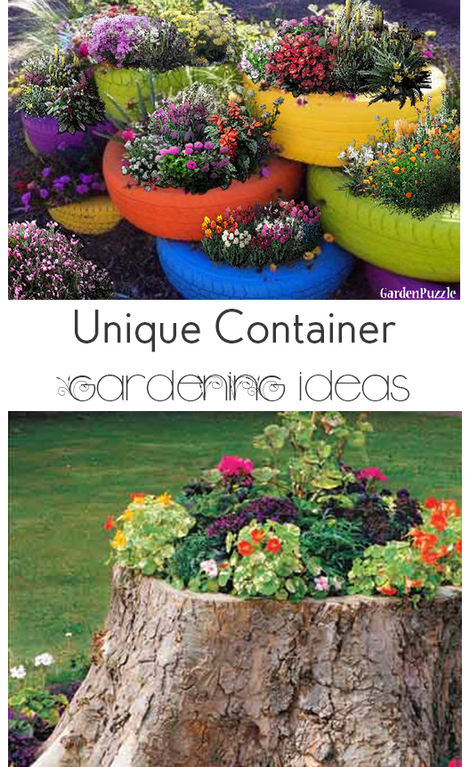 Unique Container Gardening Ideas