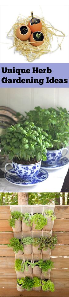 Herb gardening, DIY herb gardening, indoor herb garden ideas, popular pin, gardening, gardening tips and tricks, indoor gardening.