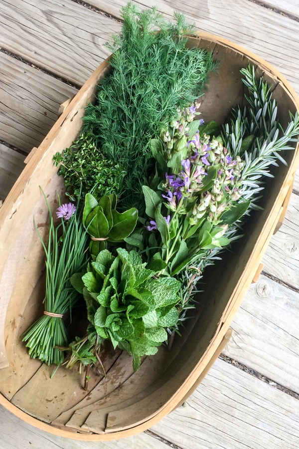 Unique Herb Garden Ideas: Indoor, Outdoor, Outdoor Potted , Diy 