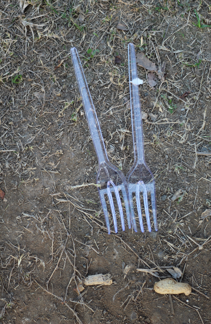 Here are 20 insanely clever gardening tips and hacks that make gardening easier. Did you know that you can use forks to help keep pests out of your garden? 