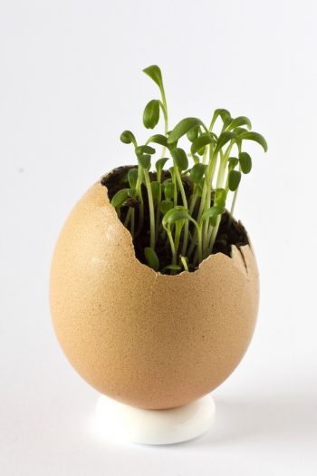 Here are some unique herb garden ideas for anyone who wants to try herb gardening at home. Herb gardening is great for home cooks! And if you try to be as frugal as you can be, try using egg shells as pots! 
