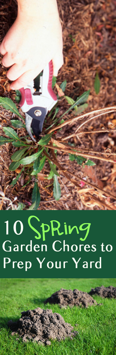 10 Spring Garden Chores to Prep Your Yard