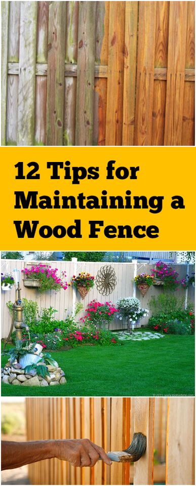12 Tips for Maintaining a Wood Fence