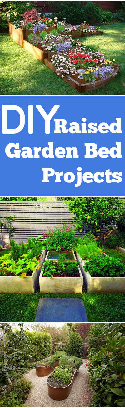 Gardening, home garden, garden hacks, garden tips and tricks, growing plants, gardening DIYs, gardening crafts, popular pin, raised garden bed, garden bed projects