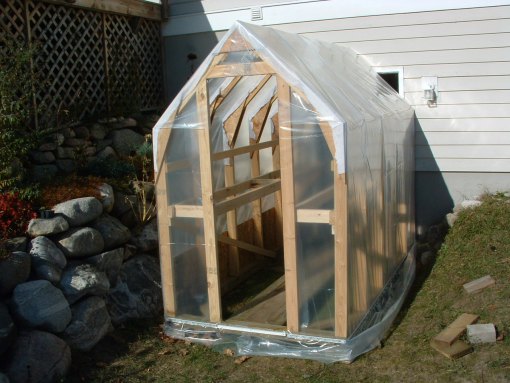 Greenhouse7