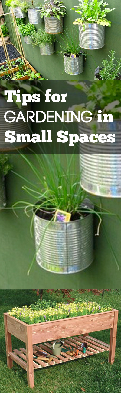 Tips for Gardening in Small Spaces