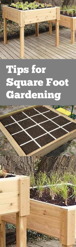 Tips for Square Foot Gardening ~ Bless My Weeds