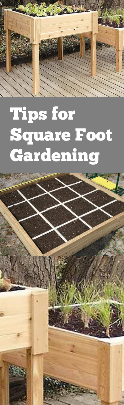 Tips for Square Foot Gardening