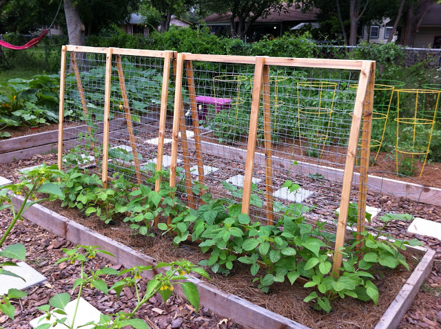 A frame made from wood and wire to create a DIY garden trellis