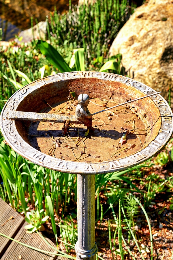 10 Ways to Use Baking Soda in the Garden Bless My Weeds