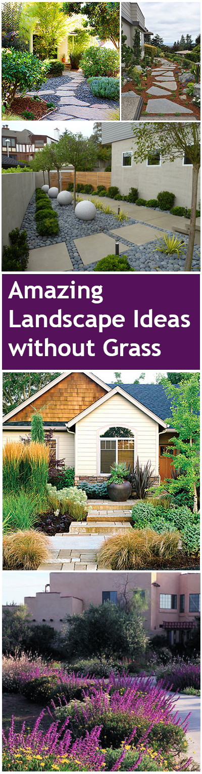 Grass free landscaping, xeriscape ideas, easy ways to landscape, popular pin, landscape ideas, yard and landscape, grass