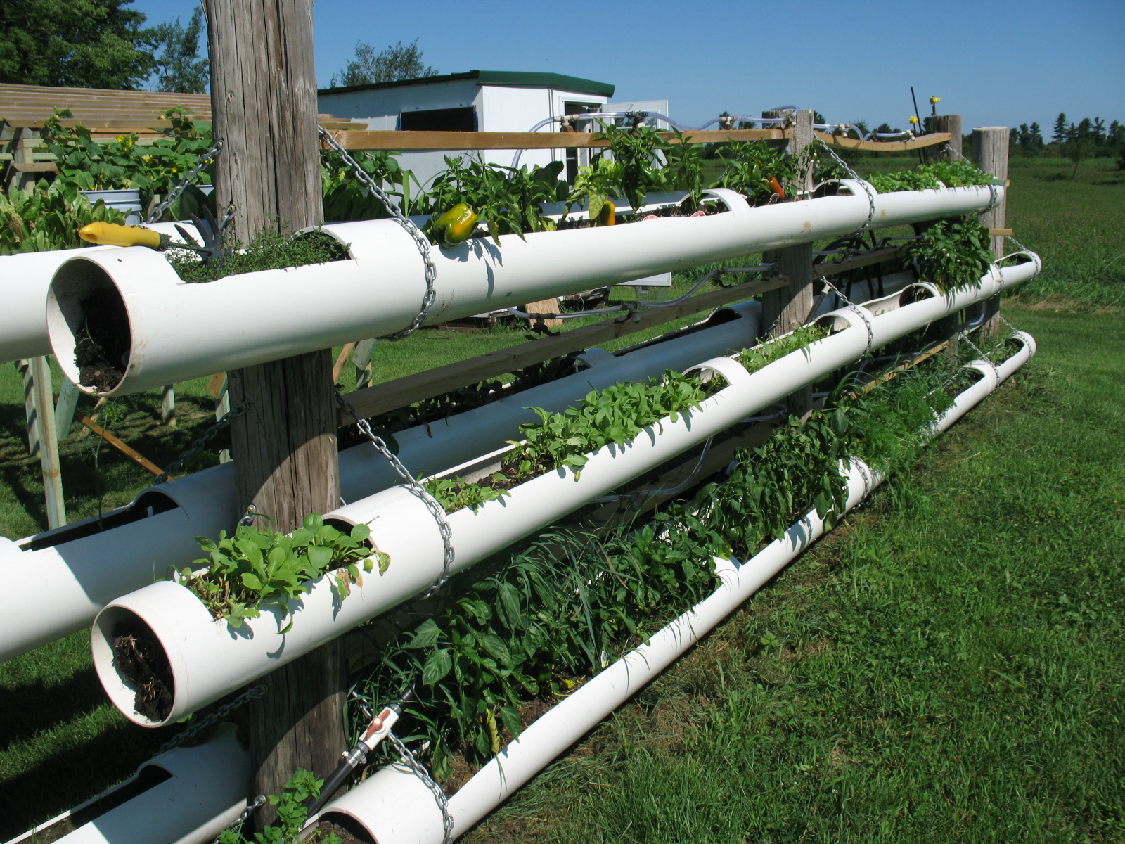 15 Creative Vertical Gardening Designs Bless My Weeds