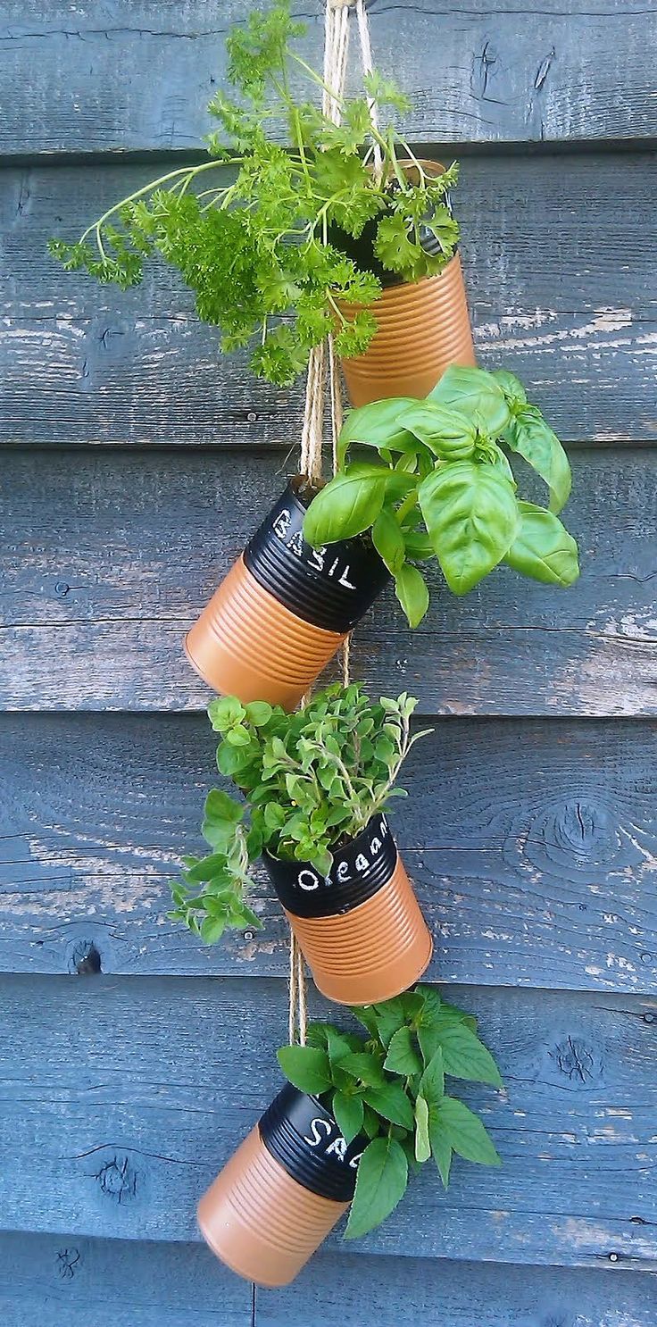 Creative Vertical Gardening Designs Bless My Weeds