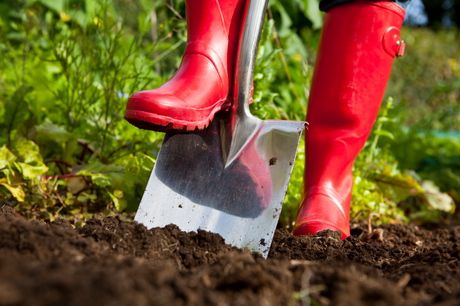 Digging With Red Boots