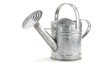 watering fruit trees in containers is very important, but don't make the soil soggy