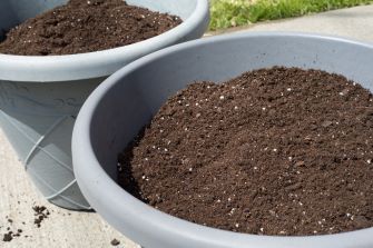 potting soil