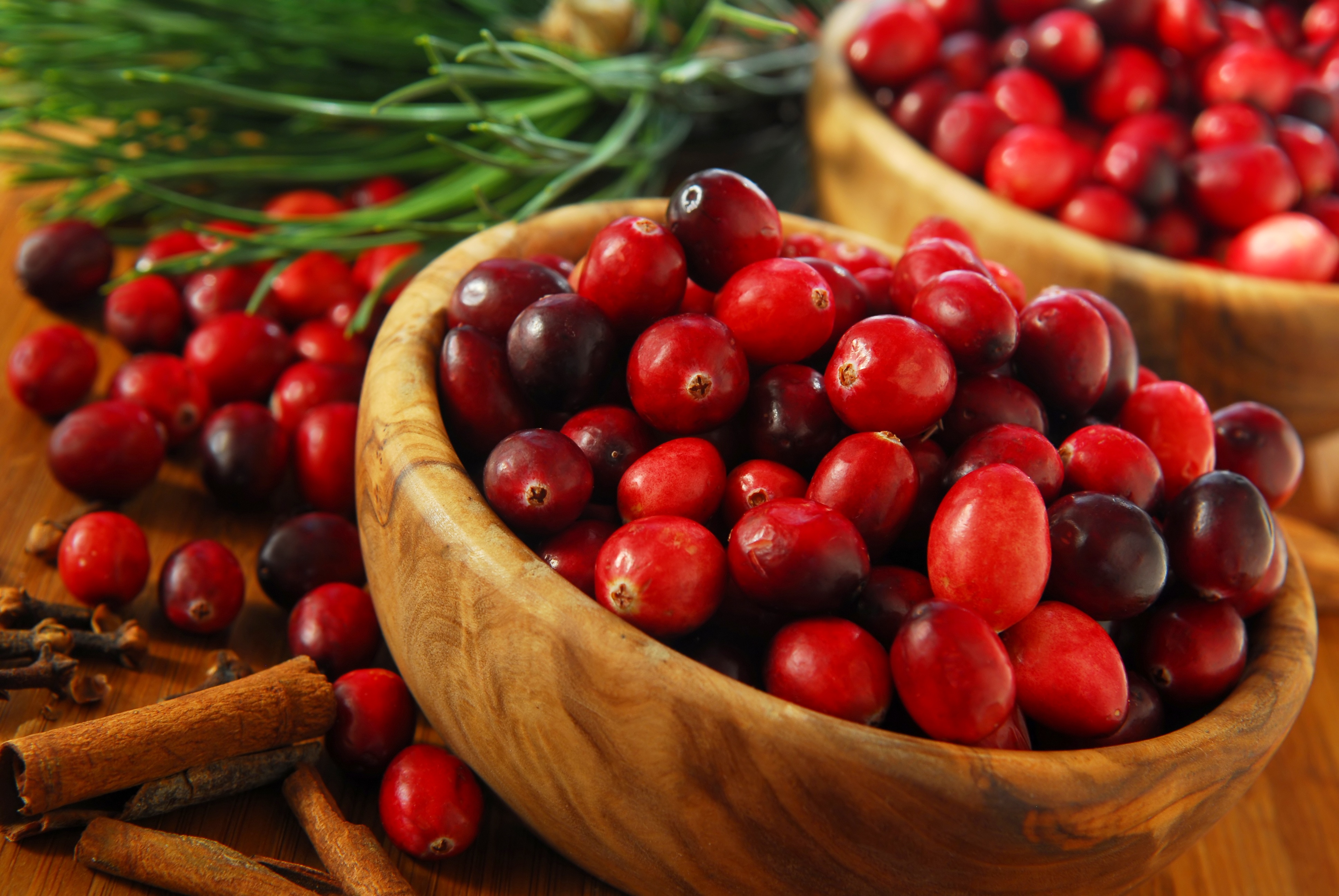 Cranberries in bowls