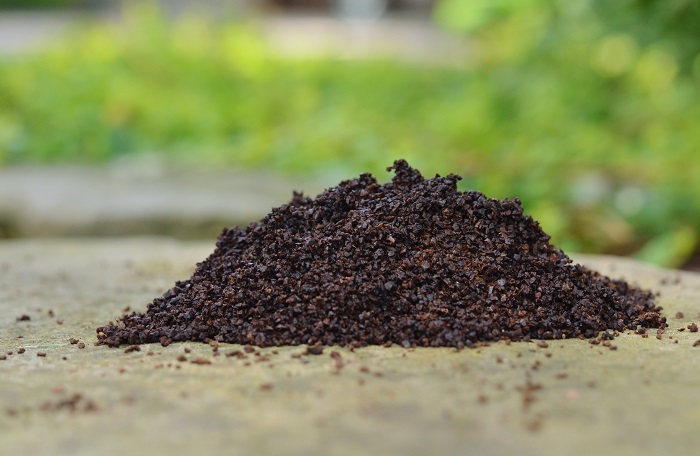 Coffee grounds in the garden