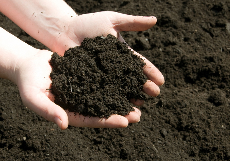 iStock_000005900018Small