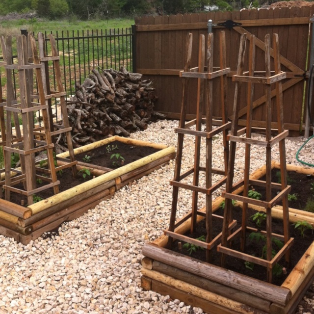 DIY Tomato Cage Ideas| Garden Ideas: Tomato Cages DIY, Tomato Cages Garden, DIY Tomato Cage, DIY Tomato Trellis, Garden Ideas, Gardening Ideas, Vegetable Garden Ideas, Vegetable Gardening Ideas