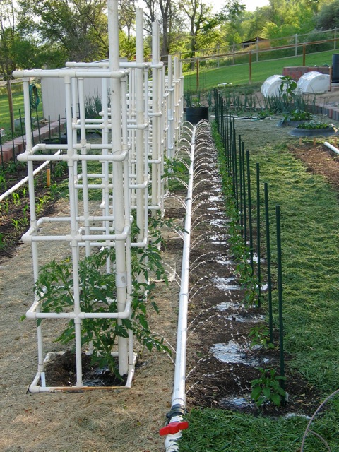 DIY Tomato Cage Ideas| Garden Ideas: Tomato Cages DIY, Tomato Cages Garden, DIY Tomato Cage, DIY Tomato Trellis, Garden Ideas, Gardening Ideas, Vegetable Garden Ideas, Vegetable Gardening Ideas