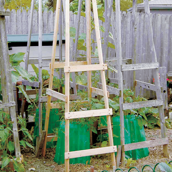 DIY Tomato Cage Ideas| Garden Ideas: Tomato Cages DIY, Tomato Cages Garden, DIY Tomato Cage, DIY Tomato Trellis, Garden Ideas, Gardening Ideas, Vegetable Garden Ideas, Vegetable Gardening Ideas