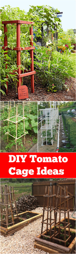 DIY Tomato Cage Ideas ~ Bless My Weeds