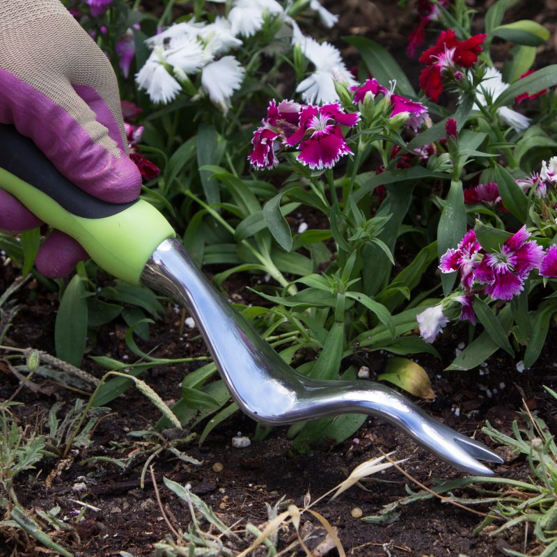 11 Garden Tools You Should Have Bless My Weeds