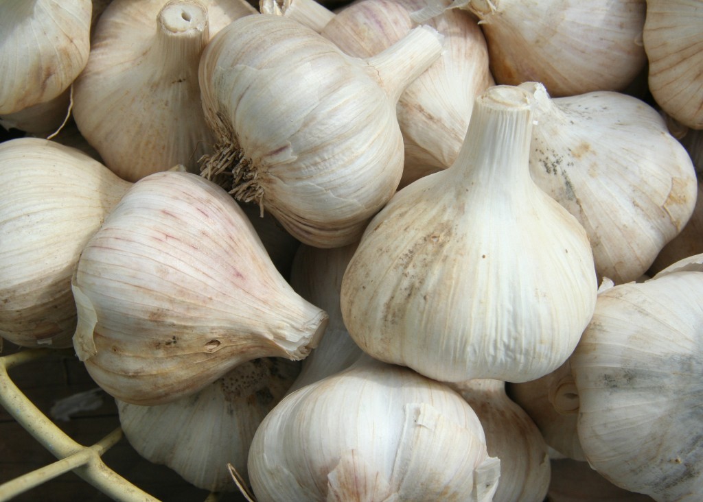 Best Cold-Hearty Crops for Winter| Winter Garden, Winter Gardening, Winter Gardening Vegetables, Winter Gardening Tips, Winter Gardening Indoor, Gardening Ideas, Vegetable Gardening for Beginners, Gardening Ideas #WinterGardening #WinterGardeningVegetables #GardeningIdeas #GardeningforBeginners