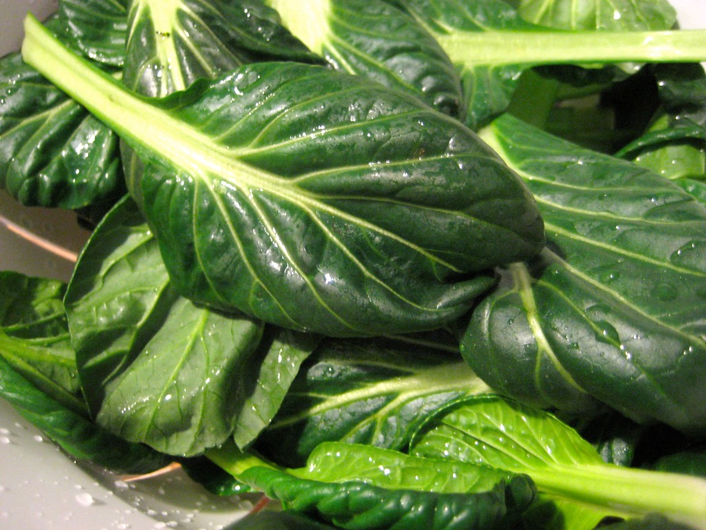 Best Cold-Hearty Crops for Winter| Winter Garden, Winter Gardening, Winter Gardening Vegetables, Winter Gardening Tips, Winter Gardening Indoor, Gardening Ideas, Vegetable Gardening for Beginners, Gardening Ideas #WinterGardening #WinterGardeningVegetables #GardeningIdeas #GardeningforBeginners