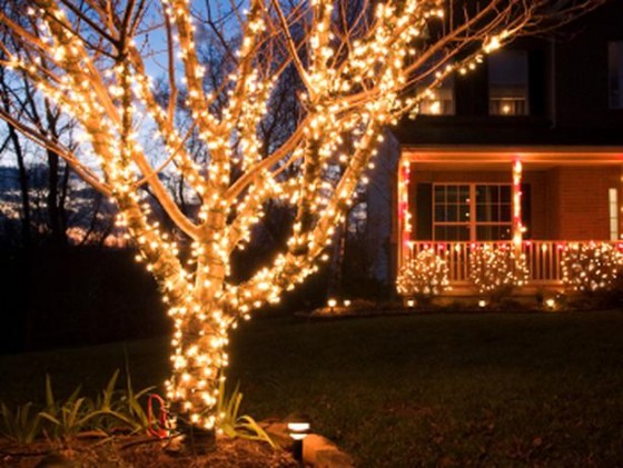 Tips, Tricks and Design Ideas for Outdoor Christmas Lights ~ Bless My Weeds