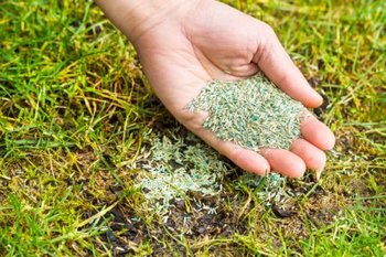 3 Quick Ways to Green Up Your Lawn After Winter| Lawn Care, Lawn Care Ideas, Landscaping Front Yard, Landscape Ideas, Landscaping, Landscaping on a Budget, Landscaping Back Yard #LawnCare #Landscaping, #LandscapeIdeas