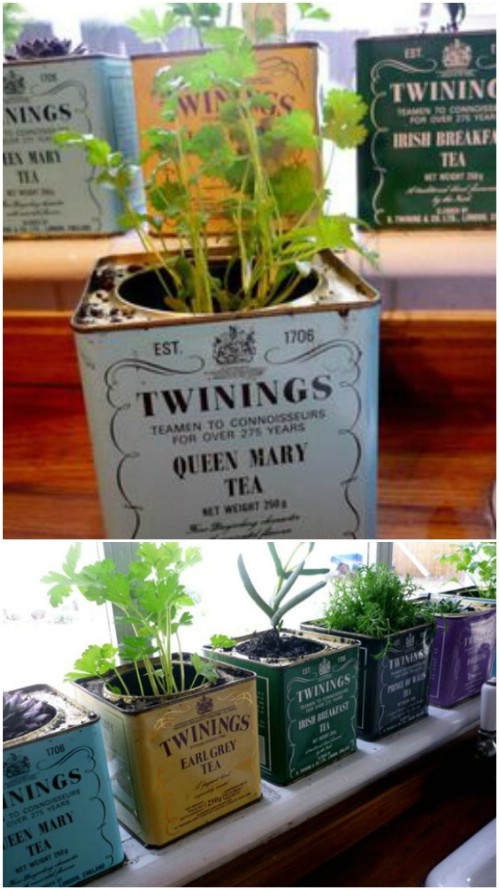 15 Creative Ways to Make a Herb Garden| Herb Gardening, Herb Garden, Herb Garden ideas, Container Garden Ideas, Container Gardening, Herb Gardening for Beginners #HerbGardening #HerbGardenIdeas #HerbGardeningforBeginners