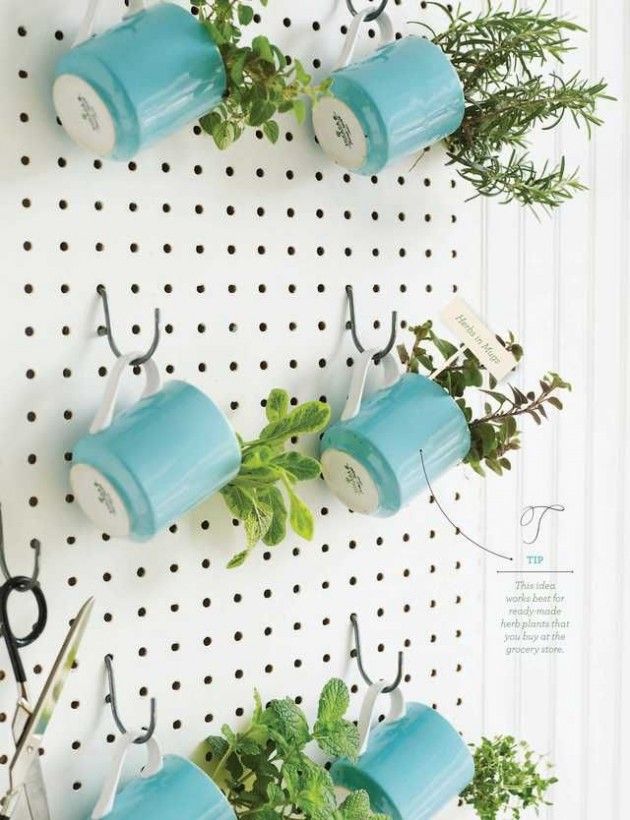 Herb garden, herb gardening, herb gardening ideas, popular pin, creative herb gardening, indoor gardening, indoor herb garden, gardening hacks.