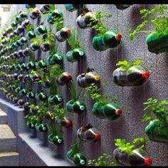 15 Creative Ways to Make a Herb Garden| Herb Gardening, Herb Garden, Herb Garden ideas, Container Garden Ideas, Container Gardening, Herb Gardening for Beginners #HerbGardening #HerbGardenIdeas #HerbGardeningforBeginners