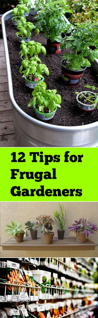 Frugal gardening, frugal gardening tips, gardening hacks, garden, DIY gardening, cheap gardening, easy gardening.