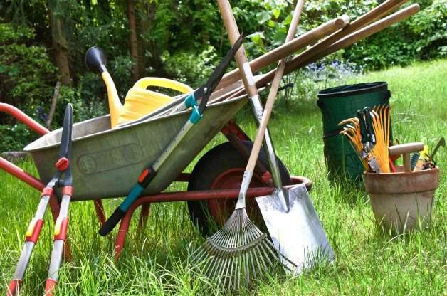 Frugal gardening, frugal gardening tips, gardening hacks, garden, DIY gardening, cheap gardening, easy gardening.