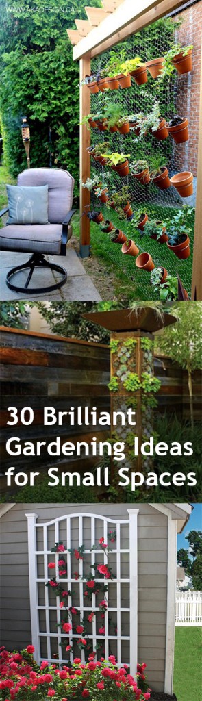 Small space gardening hacks, small space gardening, gardening ideas, popular pin, gardening tips, small space living.