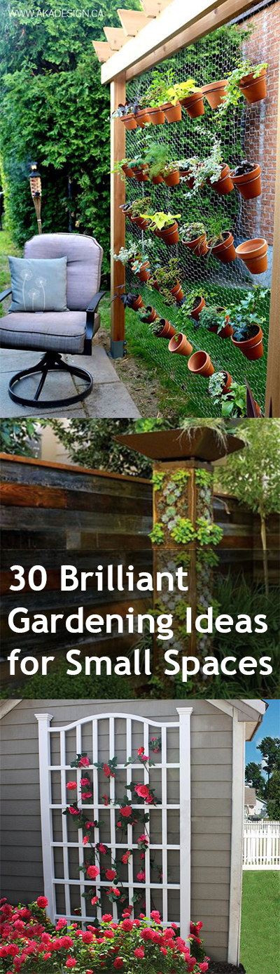 30 Brilliant Gardening Ideas for Small Spaces ~ Bless My Weeds