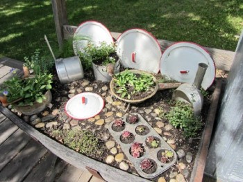 Small space gardening hacks, small space gardening, gardening ideas, popular pin, gardening tips, small space living.
