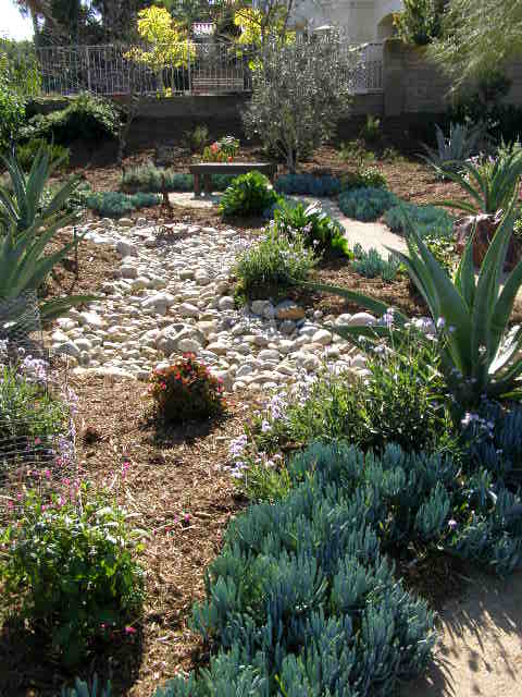 Dry creek beds, outdoor living, xeriscape ideas, popular pin, outdoor DIY, yard and landscape, landscaping hacks.